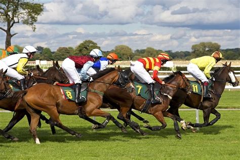 horse racing double calculator|betfred double calculator.